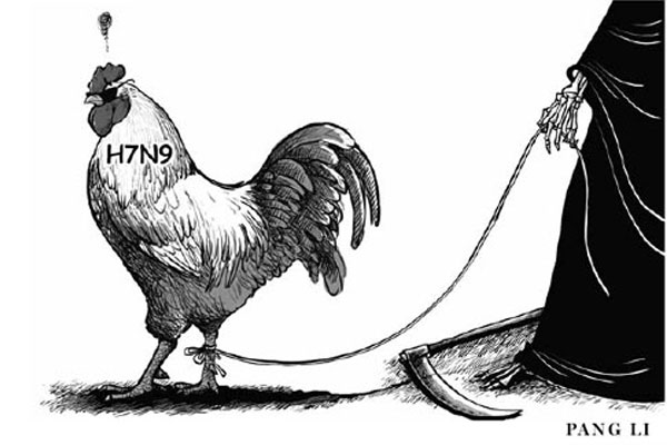 方舟子：为什么散养的家禽容易出现禽流感？